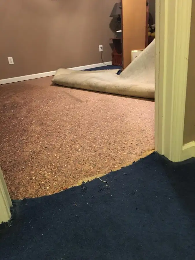 Carpet pad removal revealing water damage during Water Mitigation Services in Niles